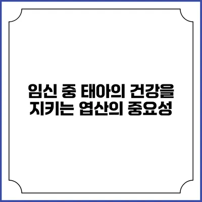 임신 중 태아의 건강을 지키는 엽산의 중요성
