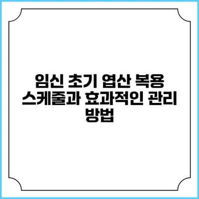 임신 초기 엽산 복용 스케줄과 효과적인 관리 방법