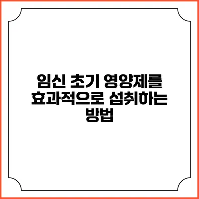 임신 초기 영양제를 효과적으로 섭취하는 방법