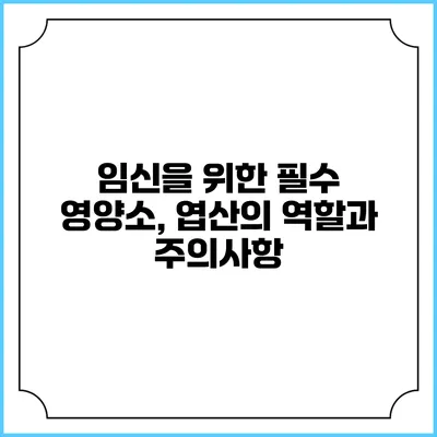 임신을 위한 필수 영양소, 엽산의 역할과 주의사항