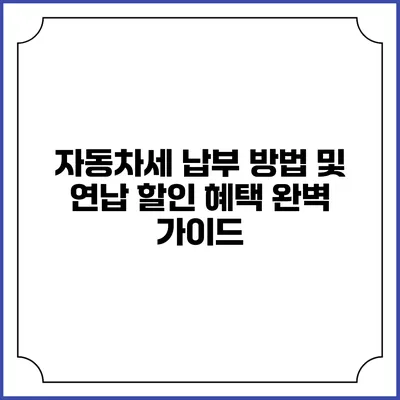 자동차세 납부 방법 및 연납 할인 혜택 완벽 가이드