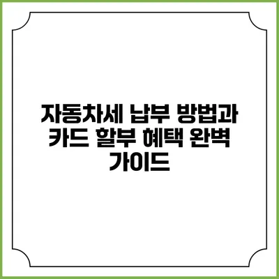 자동차세 납부 방법과 카드 할부 혜택 완벽 가이드