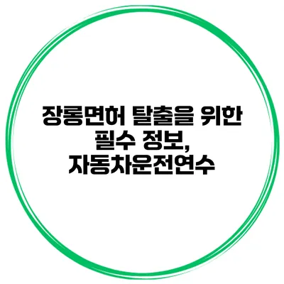 장롱면허 탈출을 위한 필수 정보, 자동차운전연수
