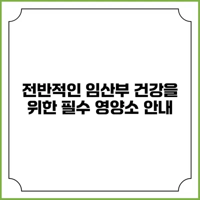 전반적인 임산부 건강을 위한 필수 영양소 안내
