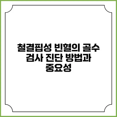 철결핍성 빈혈의 골수 검사 진단 방법과 중요성