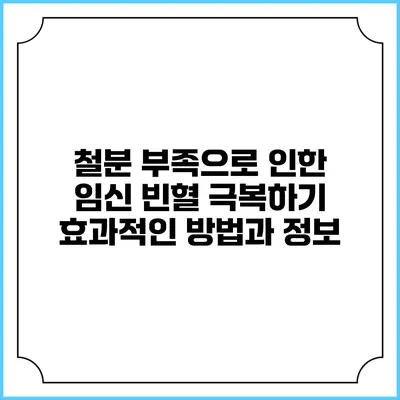 철분 부족으로 인한 임신 빈혈 극복하기: 효과적인 방법과 정보