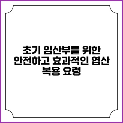 초기 임산부를 위한 안전하고 효과적인 엽산 복용 요령
