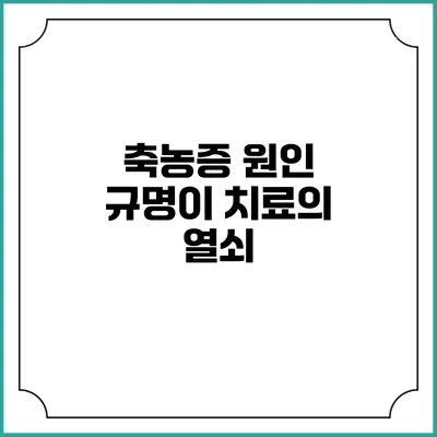 축농증 원인 규명이 치료의 열쇠