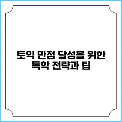 토익 만점 달성을 위한 독학 전략과 팁
