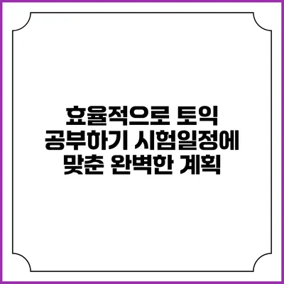 효율적으로 토익 공부하기: 시험일정에 맞춘 완벽한 계획