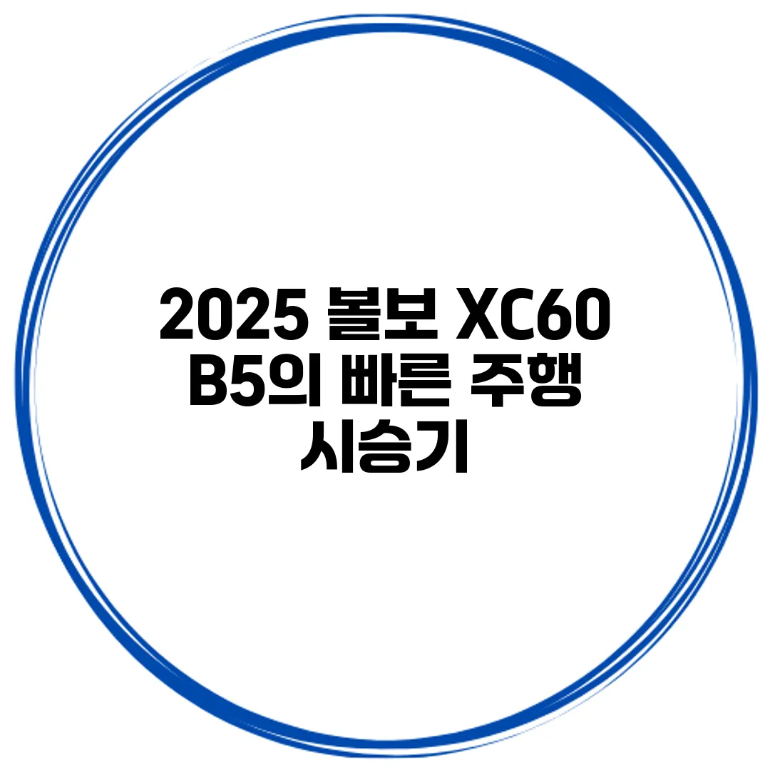 2025 볼보 XC60 B5의 빠른 주행 시승기