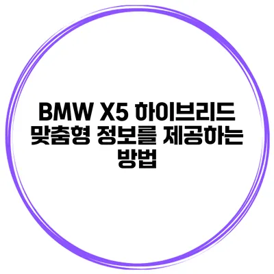 BMW X5 하이브리드 맞춤형 정보를 제공하는 방법
