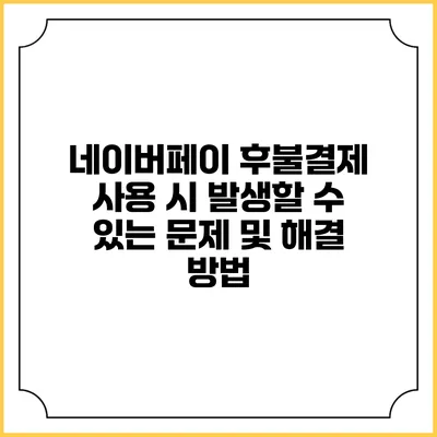 네이버페이 후불결제 사용 시 발생할 수 있는 문제 및 해결 방법