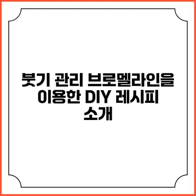 붓기 관리 브로멜라인을 이용한 DIY 레시피 소개