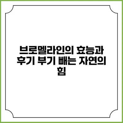 브로멜라인의 효능과 후기: 부기 빼는 자연의 힘
