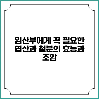 임산부에게 꼭 필요한 엽산과 철분의 효능과 조합